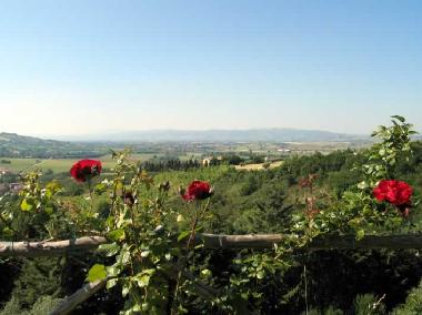 Visi�n panor�mica