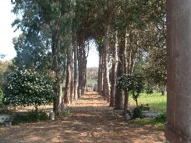 Palacio / Castillo en Ostuni (Brindisi)Casa de vacaciones
