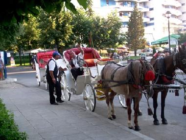 Apartamento de vacaciones en Sunny Beach (Burgas)Casa de vacaciones