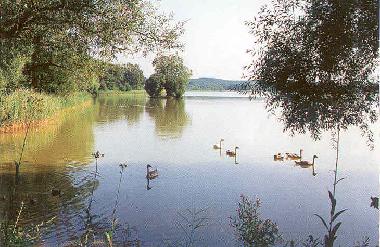 Apartamento de vacaciones en Klpinsee (Ostsee-Inseln)Casa de vacaciones
