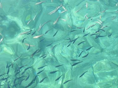 Casa de vacaciones en Turgutreis (Mugla)Casa de vacaciones