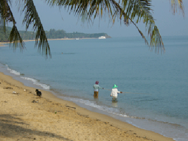 Hotel en Maenam (Surat Thani)Casa de vacaciones
