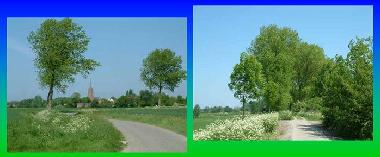 Chalet en Baarland (Zeeland)Casa de vacaciones