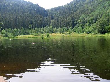 Apartamento de vacaciones en Baiersbronn Obertal-Buhlbach (Schwarzwald)Casa de vacaciones