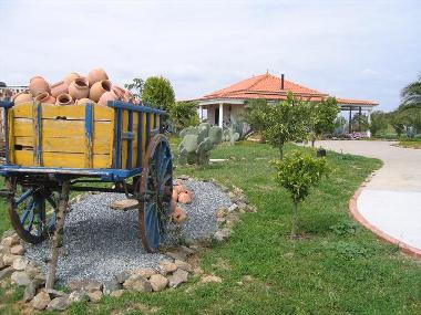 Casa de vacaciones en Cabeo de Vide (Alto Alentejo)Casa de vacaciones