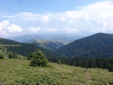 Cama y desayuno en Brzece (Srbija (Serbia))Casa de vacaciones
