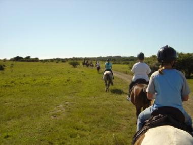 Hotel en Bohnert:N�he Kappeln/Eckernf�rde (Ostsee-Festland)Casa de vacaciones