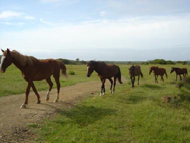 Hotel en Bohnert:N�he Kappeln/Eckernf�rde (Ostsee-Festland)Casa de vacaciones