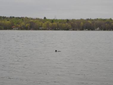Chalet en Ottawa (Ontario)Casa de vacaciones