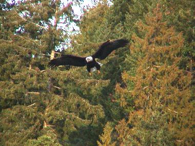 Casa de vacaciones en Gabriola Island (British Columbia)Casa de vacaciones