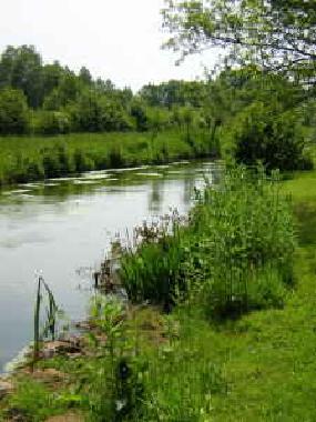 Casa de vacaciones en Saint Denis-le-Thiboult (Seine-Maritime)Casa de vacaciones