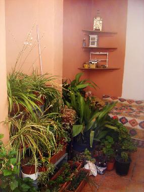 Casa de vacaciones en Chite (Granada)Casa de vacaciones