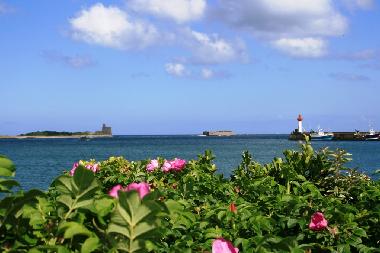 Casa de vacaciones en Saint-Vaast la Hougue (Manche)Casa de vacaciones