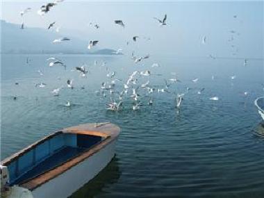 Apartamento de vacaciones en Ohrid (Ohrid)Casa de vacaciones