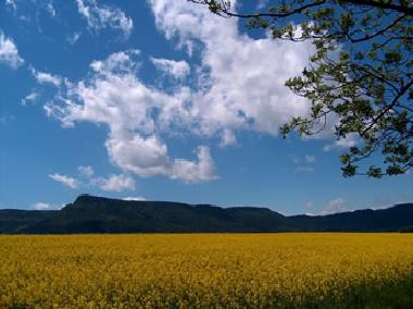 Casa de vacaciones en Bozanov (Kralovehradecky Kraj)Casa de vacaciones