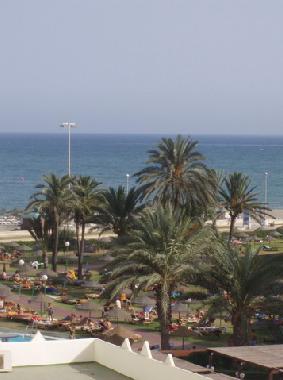 VISTAS DESDE EL APARTAMENTO (ATICO)