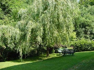 Apartamento de vacaciones en Neureichenau (Niederbayern)Casa de vacaciones