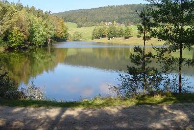 Apartamento de vacaciones en Neureichenau (Niederbayern)Casa de vacaciones