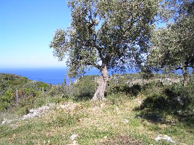 Casa de vacaciones en Volimes (Zakynthos)Casa de vacaciones