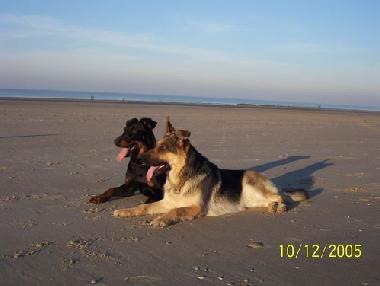 Chalet en Bredene (Flandes)Casa de vacaciones