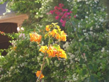 Apartamento de vacaciones en Marrakesch (Marrakech)Casa de vacaciones