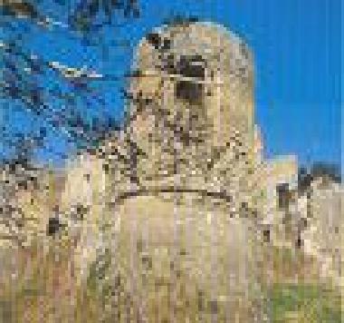 Cama y desayuno en sparanise (Caserta)Casa de vacaciones