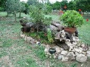 Cama y desayuno en sparanise (Caserta)Casa de vacaciones