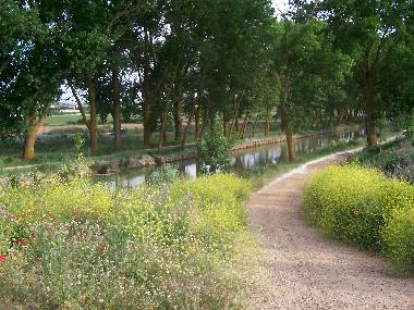 Hotel en Tamariz de Campos (Valladolid)Casa de vacaciones