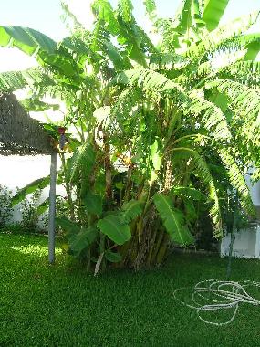 Chalet en El Palmar (C�diz)Casa de vacaciones