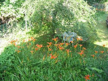 Casa de vacaciones en Lenyfalu (Pest)Casa de vacaciones