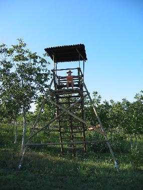 Apartamento de vacaciones en Todi (Perugia)Casa de vacaciones