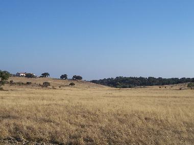 Mucho sol en las tranquilas y anchas colinas del Alentejo.