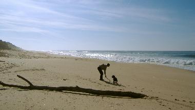 Miles de playas de arena te invitan a dar un paseo.