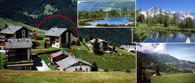 Apartamento de vacaciones en B�rchen (Rund um Visp)Casa de vacaciones
