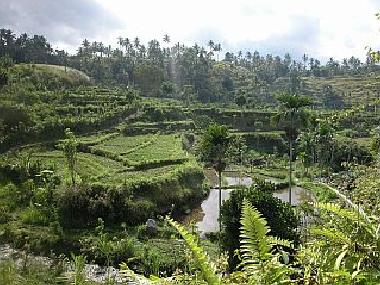 Casa de vacaciones en Tirtagangga (Bali)Casa de vacaciones