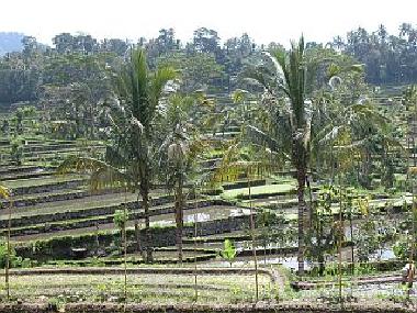 Casa de vacaciones en Tirtagangga (Bali)Casa de vacaciones