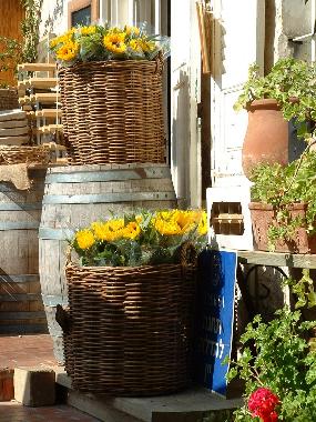 Casa de vacaciones en Zichron Ya'akov (HaZafon (Northern))Casa de vacaciones