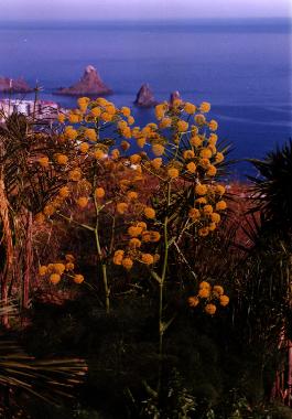 Casa de vacaciones en Aci trezza - Aci castello (Catania)Casa de vacaciones