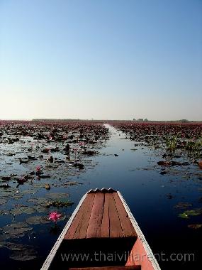 Villa en Udon Thani (Udon Thani)Casa de vacaciones