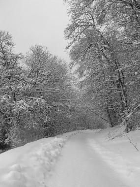 Casa de vacaciones en Affieux (Corrze)Casa de vacaciones