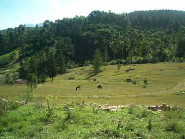 Casa de vacaciones en George (Western Cape)Casa de vacaciones
