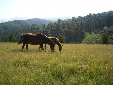 Casa de vacaciones en George (Western Cape)Casa de vacaciones