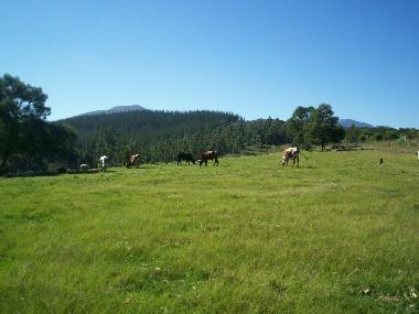 Casa de vacaciones en George (Western Cape)Casa de vacaciones