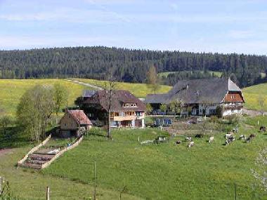 Apartamento de vacaciones en Tennenbronn (Schwarzwald)Casa de vacaciones