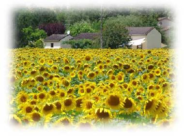 Casa de vacaciones en Montcuq (Lot)Casa de vacaciones