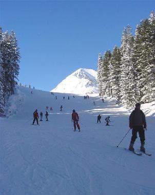 Cama y desayuno en Bansko (Blagoevgrad)Casa de vacaciones