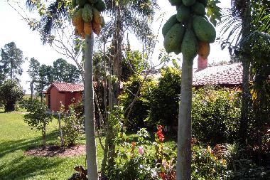 Cama y desayuno en Paraguari (Paraguari)Casa de vacaciones