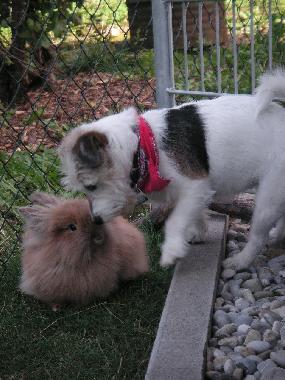 Apartamento de vacaciones en Gunzenhausen (Mittelfranken)Casa de vacaciones