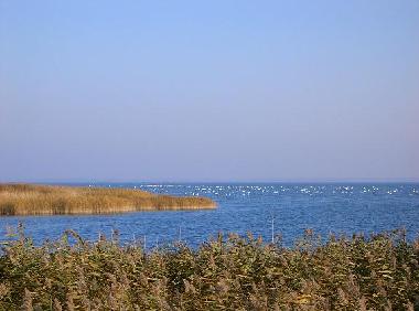 Apartamento de vacaciones en Born am Darss (Fischland-Dar-Zingst)Casa de vacaciones