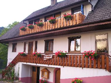 Apartamento de vacaciones en Bad Peterstal (Schwarzwald)Casa de vacaciones